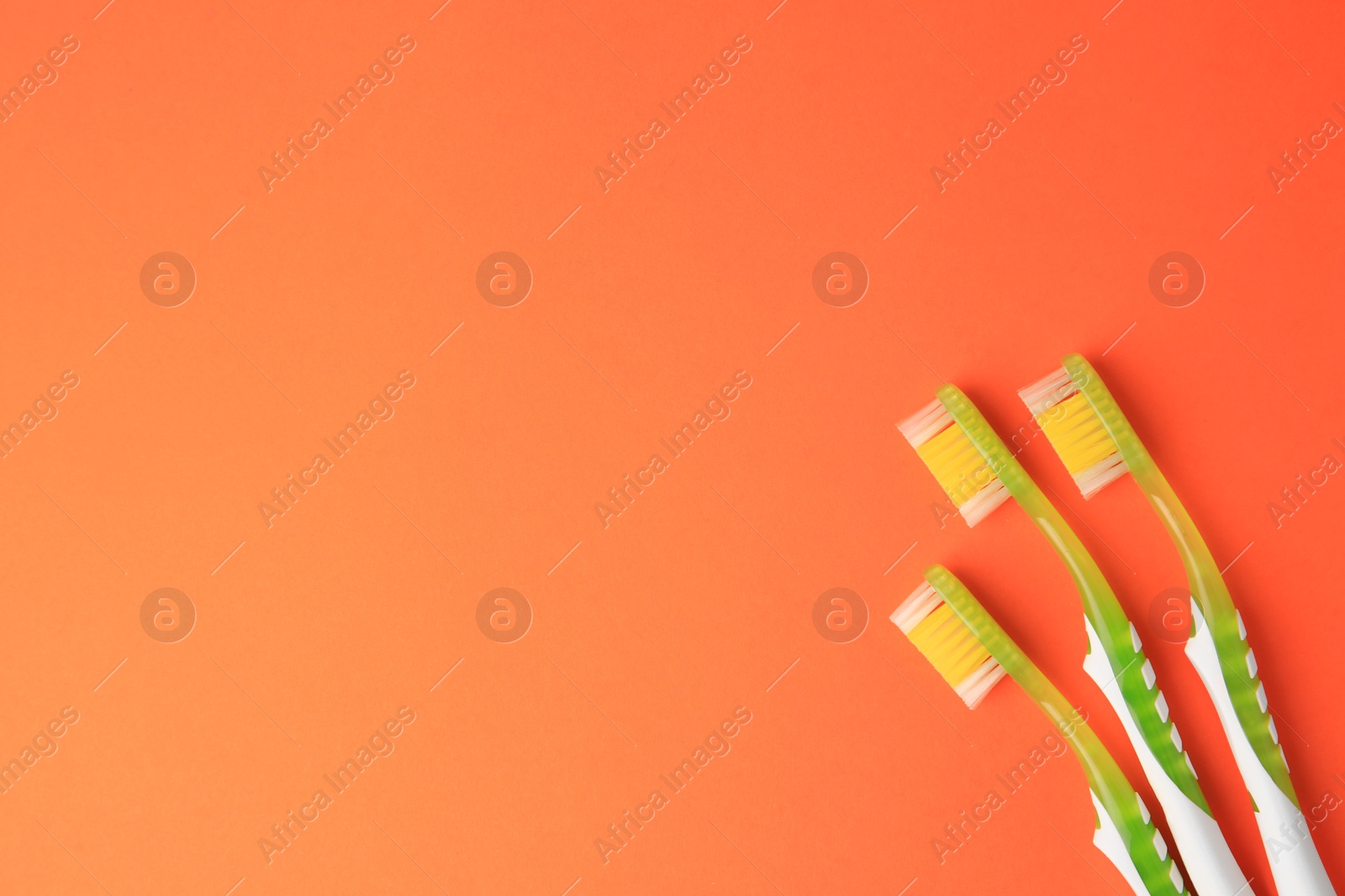 Photo of Toothbrushes on orange background, flat lay. Space for text