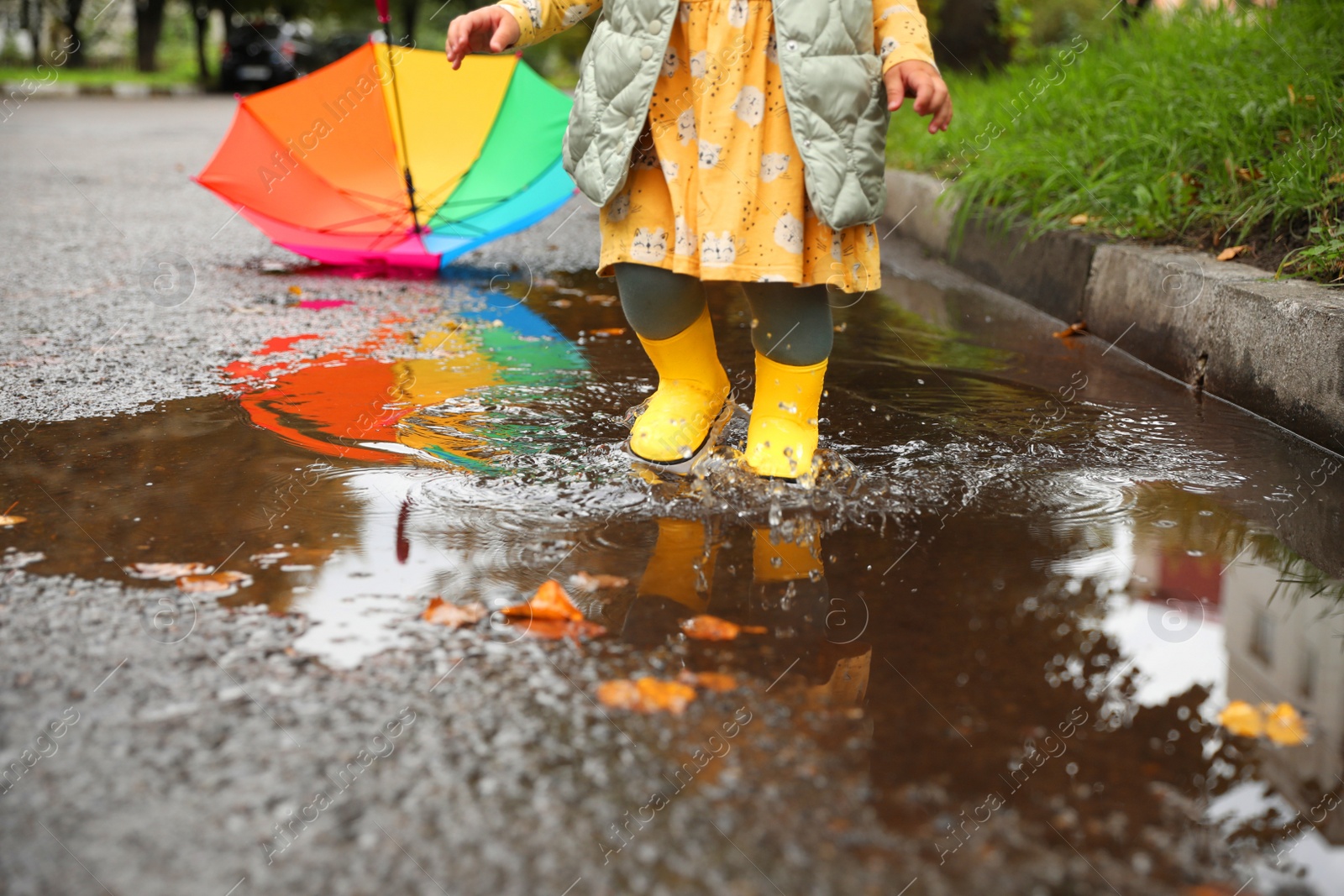 Photo of Little girl splashing water with her boots in puddle outdoors, closeup