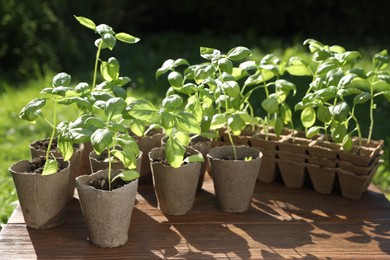 Beautiful seedlings in peat pots on wooden table outdoors