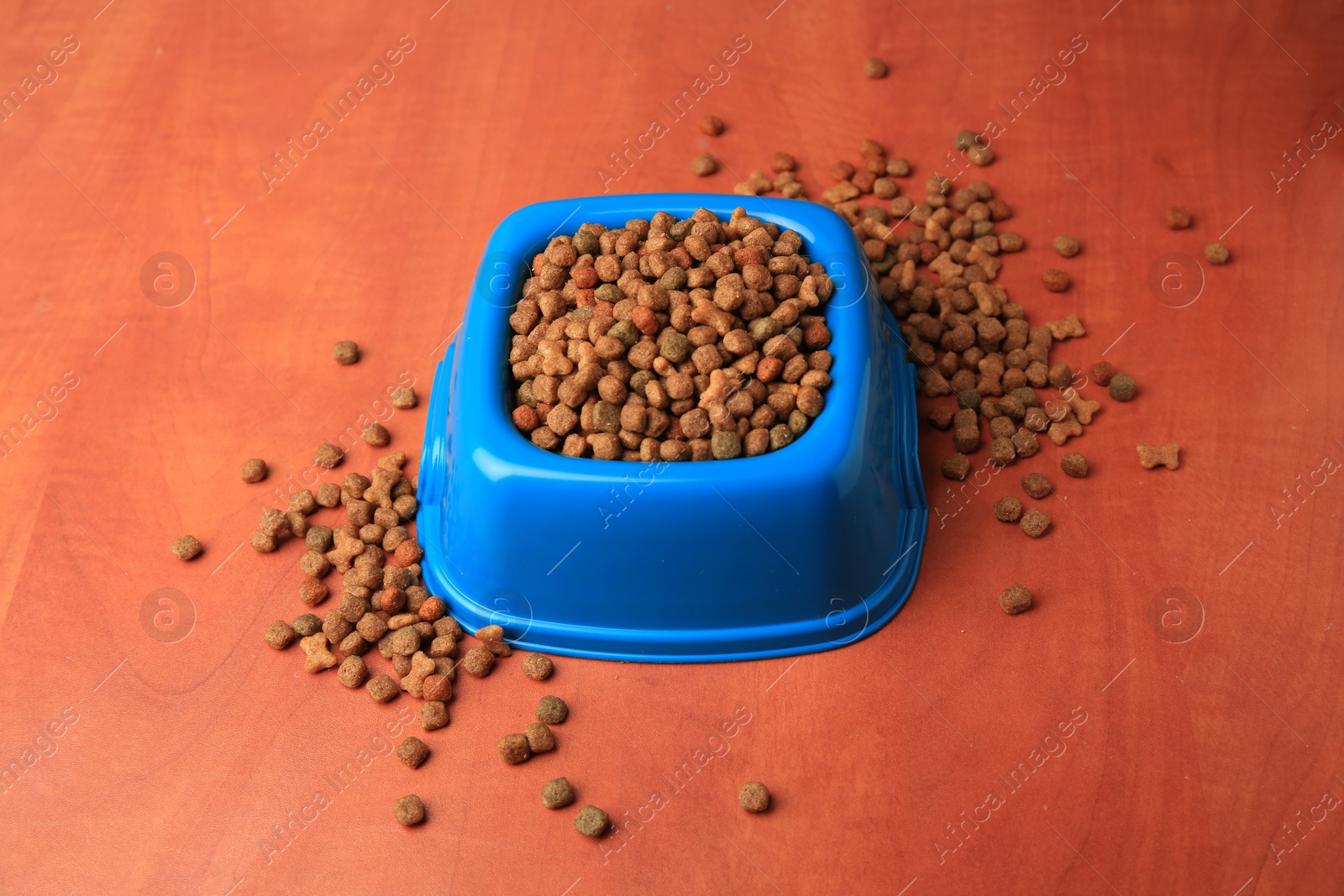 Photo of Dry pet food in feeding bowl on orange background