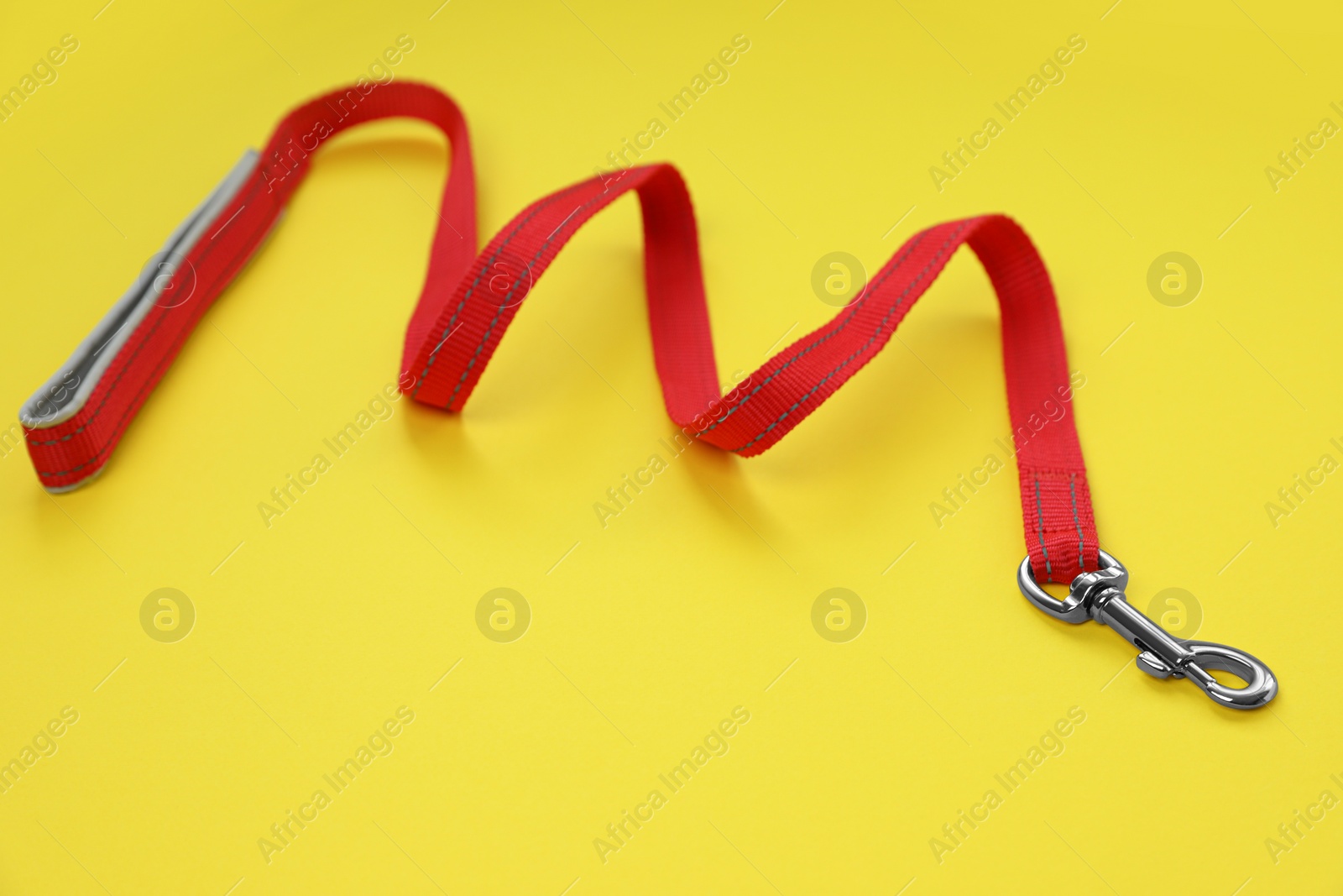 Photo of One red dog leash on yellow background