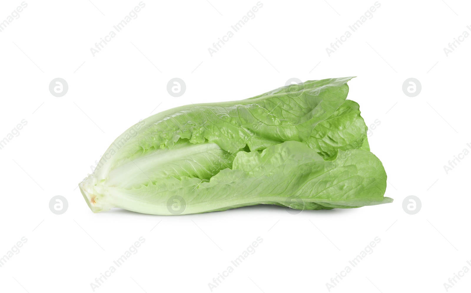 Photo of Fresh green romaine lettuce isolated on white