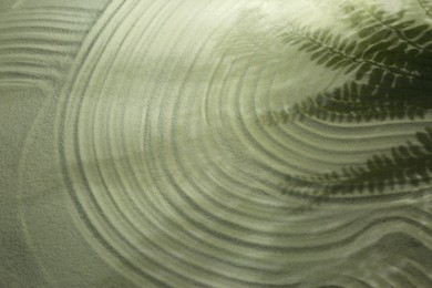 Photo of Beautiful lines and shadows of leaves on sand. Zen garden
