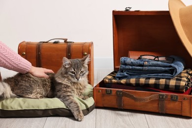 Photo of Travel with pet. Woman stroking cat near suitcases indoors, closeup