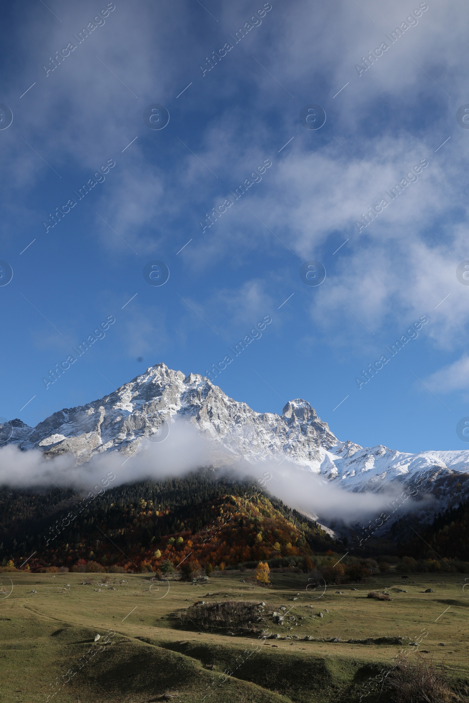 Photo of Picturesque view of high mountains with forest covered by mist and meadow under blue sky on autumn day