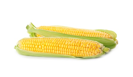 Photo of Ripe raw corn cobs with husk on white background