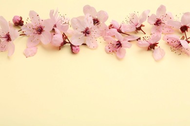 Beautiful spring tree blossoms and petals on yellow background, flat lay. Space for text