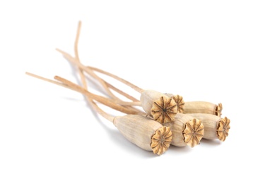 Photo of Dry poppy heads with seeds on white background