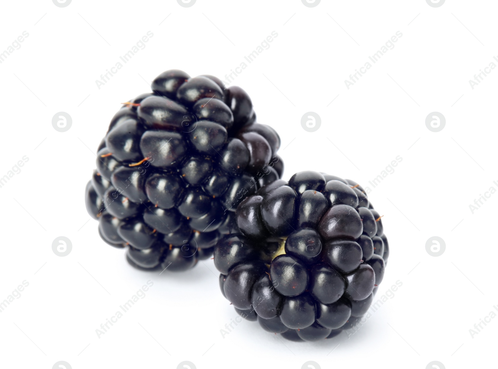 Photo of Fresh ripe juicy blackberries on white background