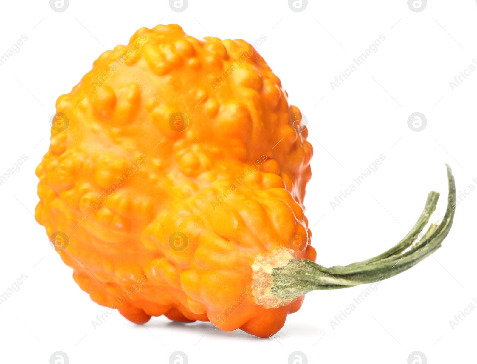 Photo of One fresh orange pumpkin isolated on white