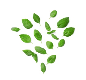 Photo of Fresh green basil leaves on white background, top view