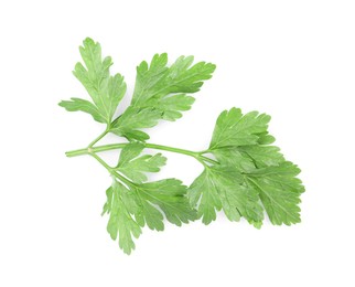 Photo of Sprig of fresh green parsley leaves on white background, top view