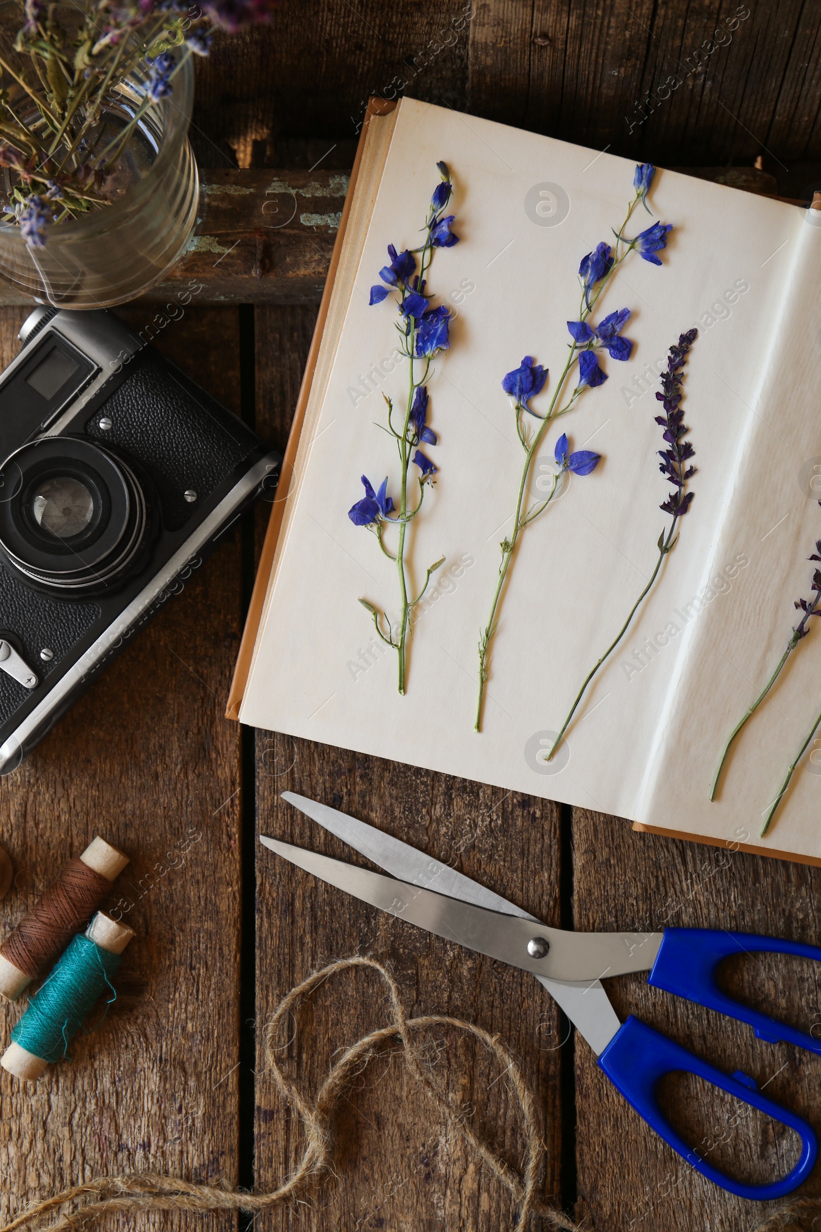 Photo of Flat lay composition with beautiful dried flowers and vintage camera on wooden table