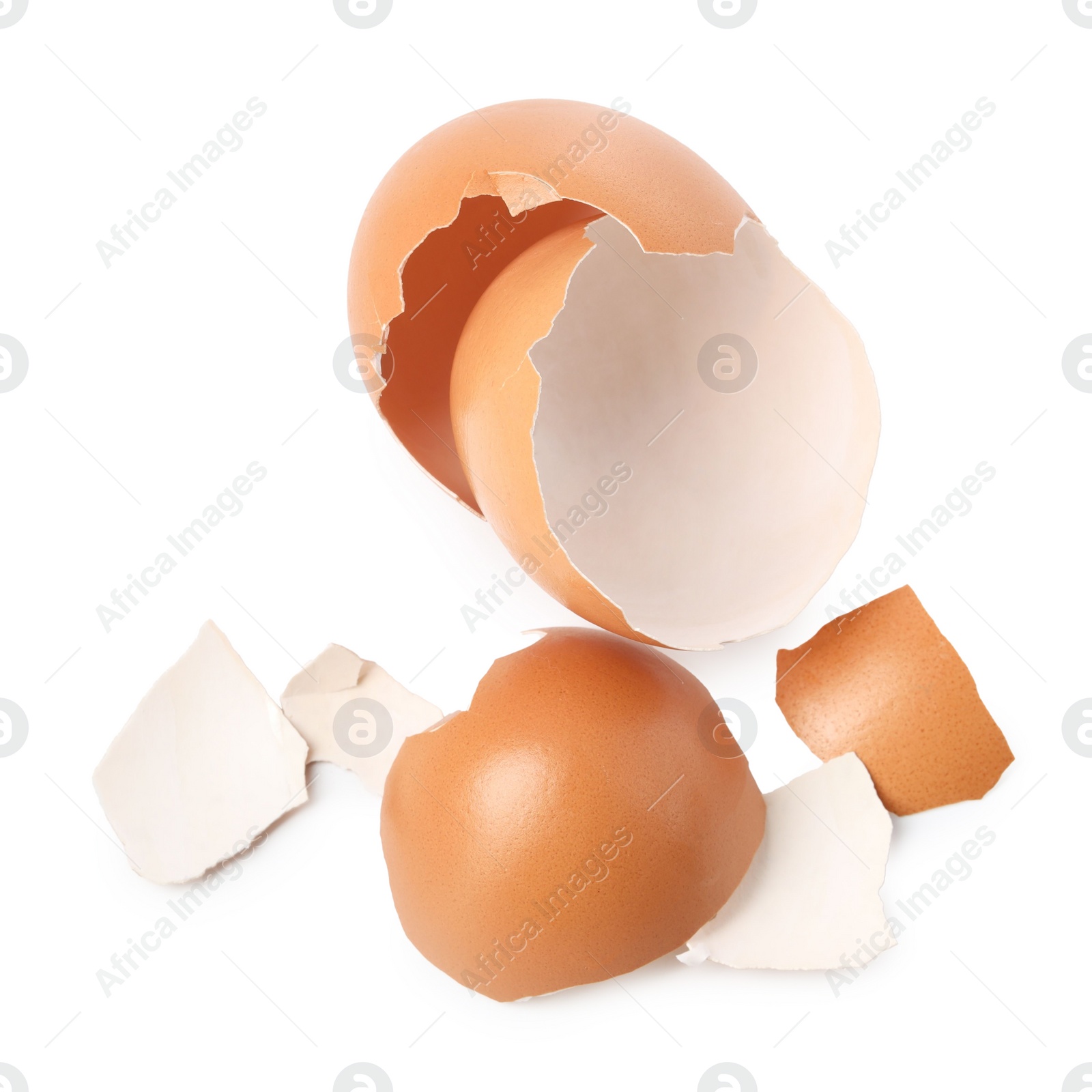 Photo of Shells of chicken egg isolated on white, top view