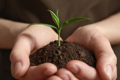 Woman holding pile of soil and seedling, closeup