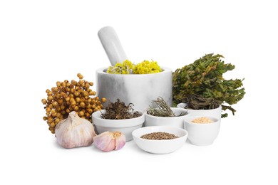 Photo of Mortar with pestle, many different dry herbs, flowers and garlic isolated on white