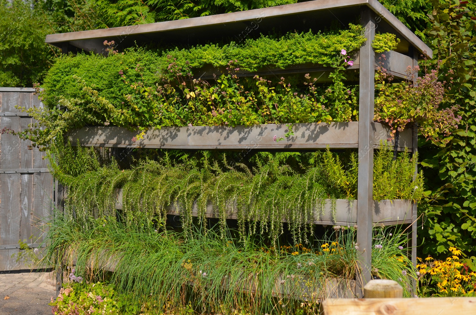 Photo of Different beautiful plants on metal rack outdoors