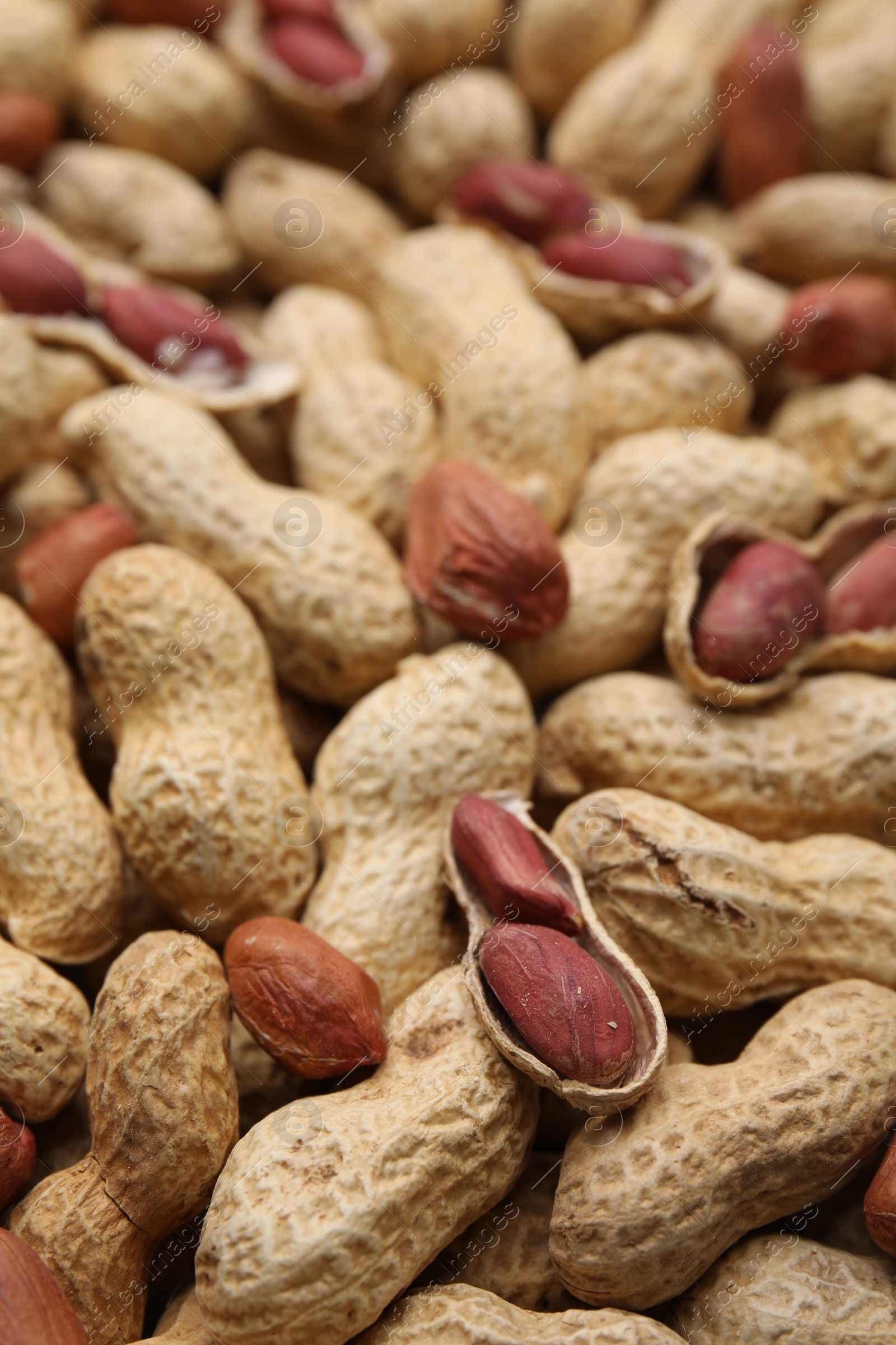 Photo of Many fresh unpeeled peanuts as background, closeup