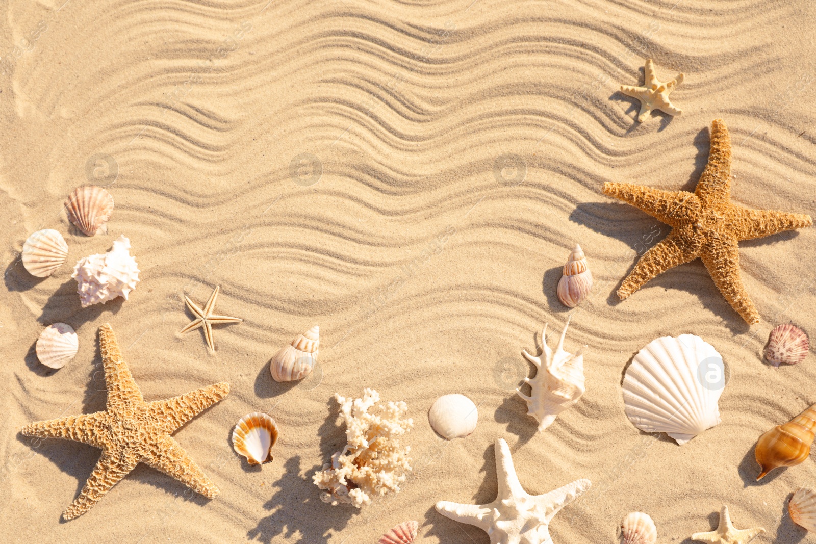 Photo of Starfishes and seashells on beach sand with wave pattern, flat lay. Space for text