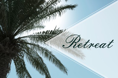 Image of Wellness retreat. Beautiful palm tree under blue sky