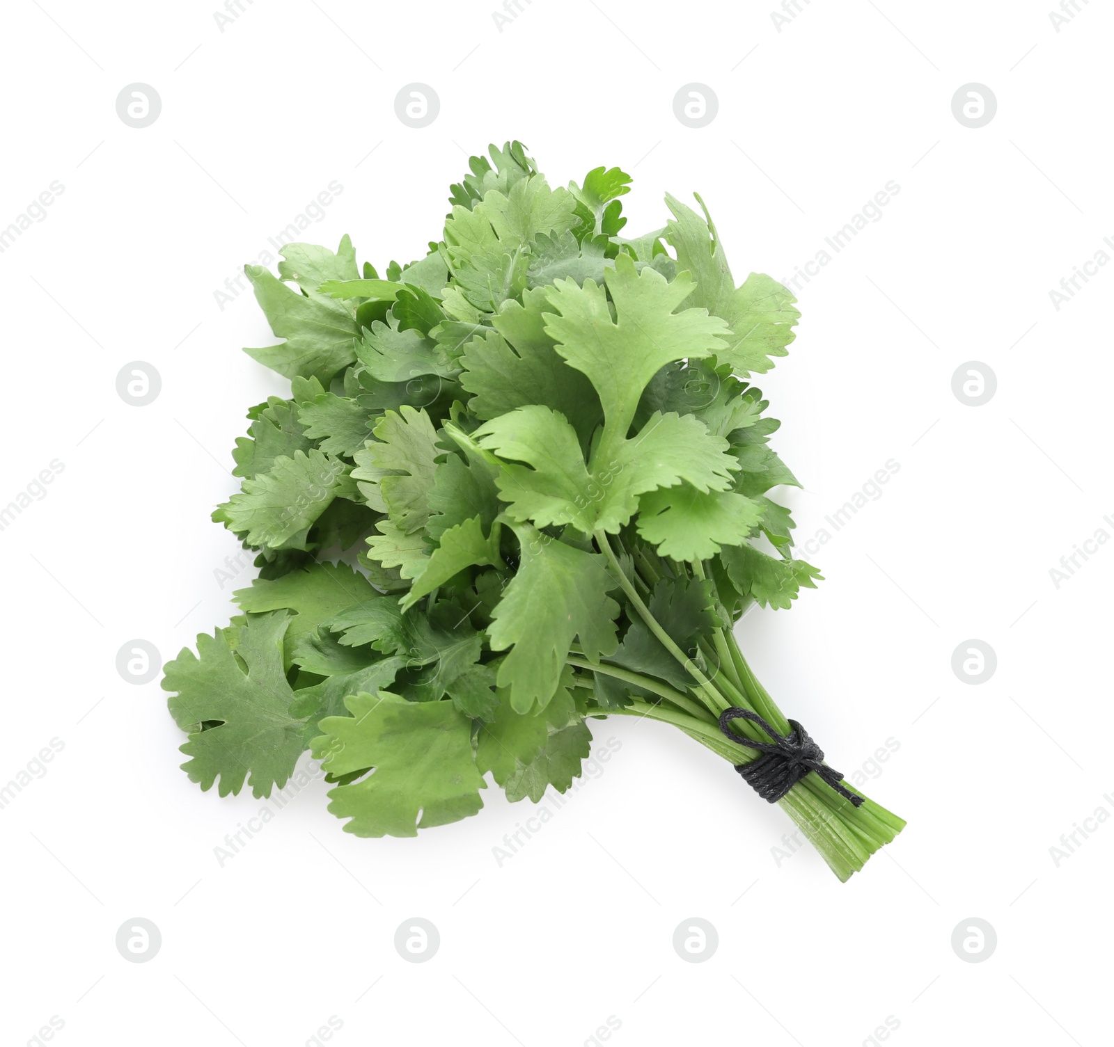 Photo of Bunch of fresh green organic cilantro isolated on white, top view