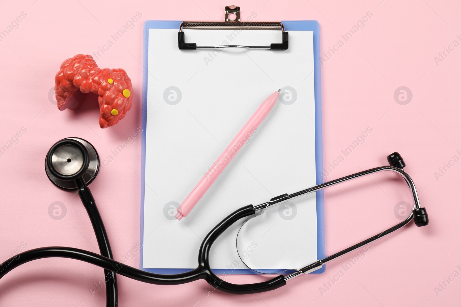 Photo of Endocrinology. Stethoscope, clipboard, model of thyroid gland and pen on pink background, flat lay