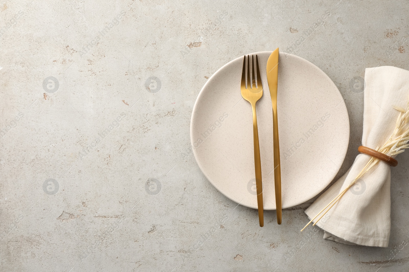 Photo of Stylish setting with cutlery, napkin, dry branch and plate on light table, top view. Space for text