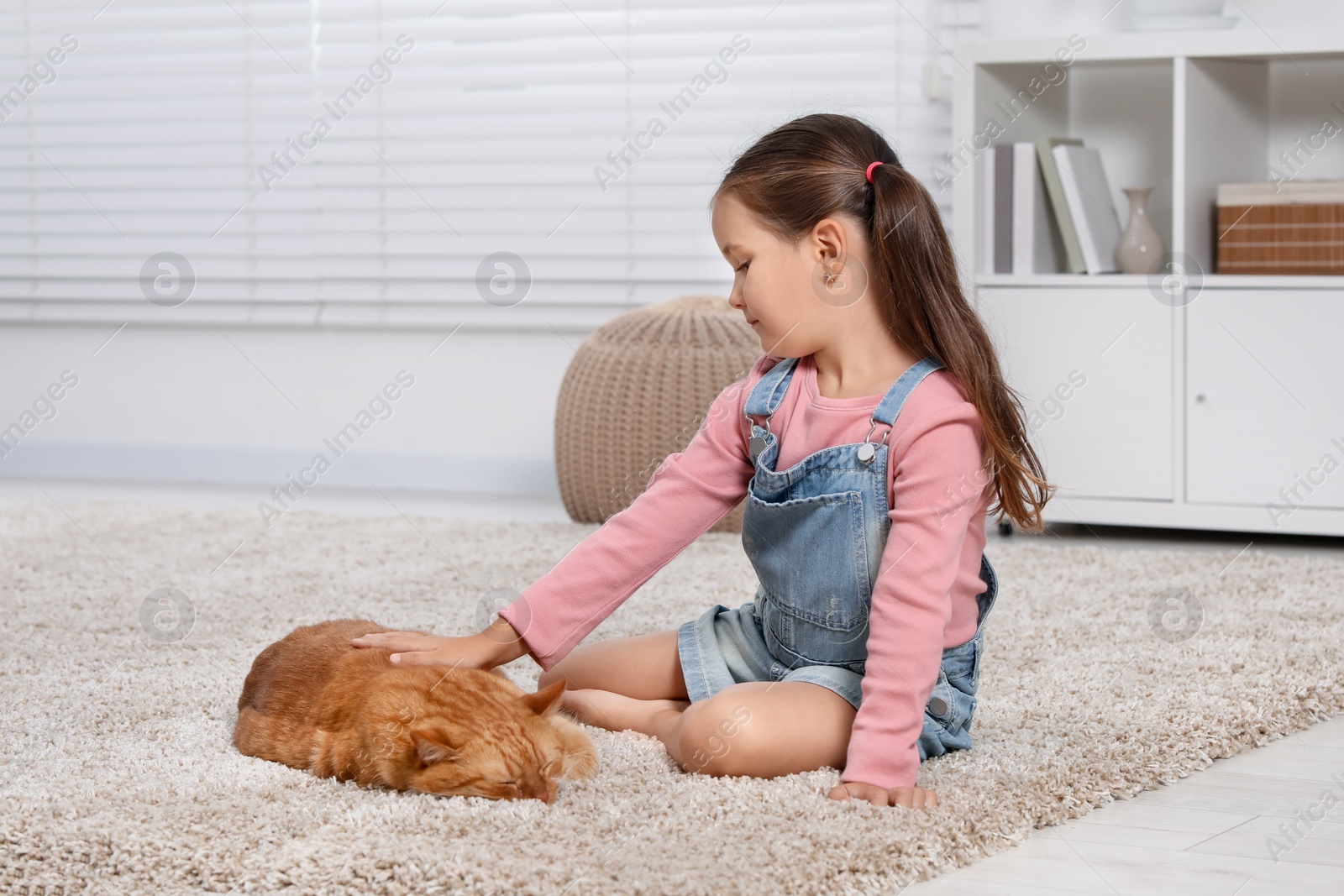 Photo of Little girl petting cute ginger cat on carpet at home