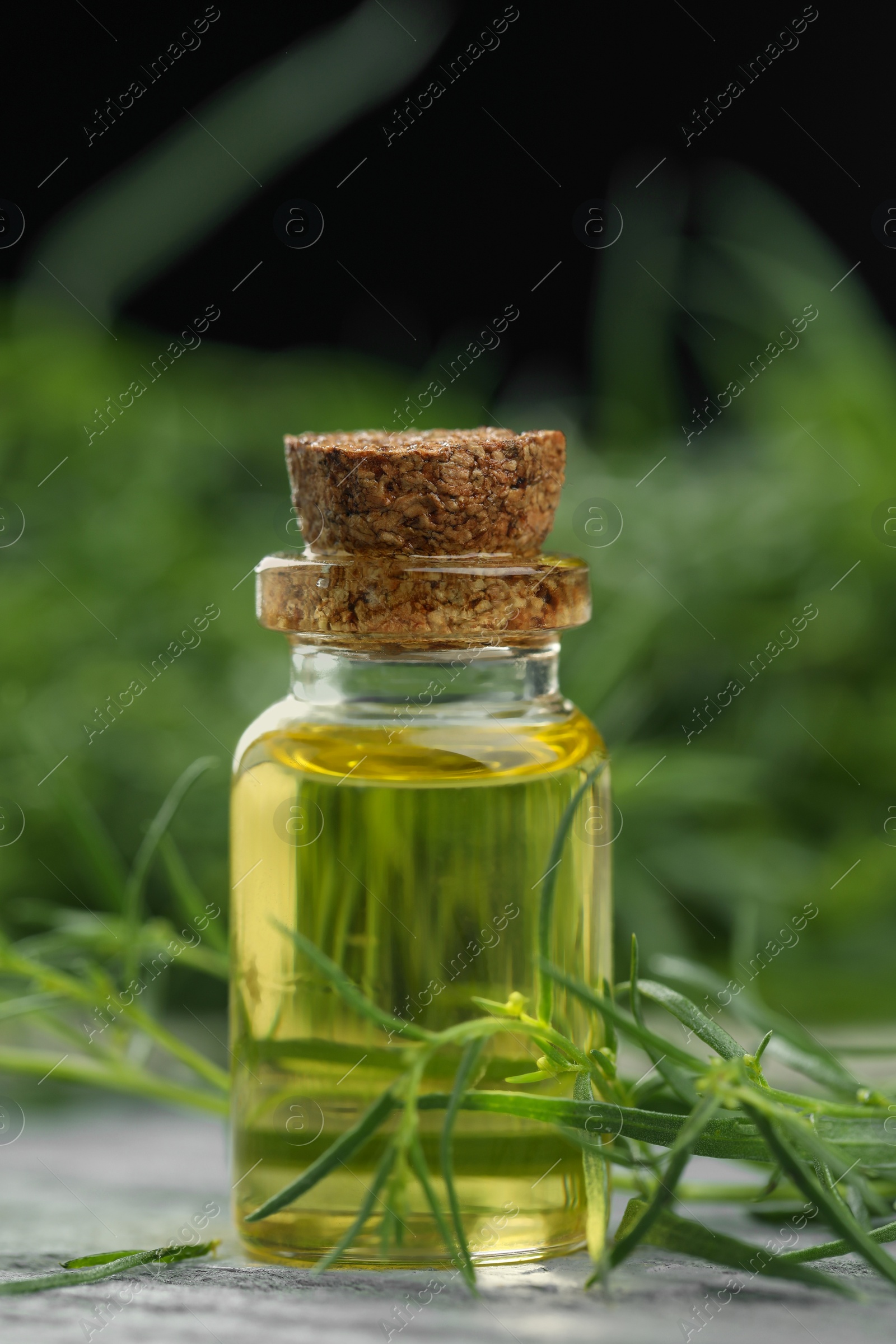 Photo of Bottle of essential oil and fresh tarragon leaves on grey wooden table