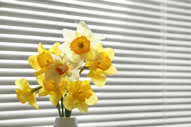 Photo of Beautiful narcissus flowers in vase near window with blinds. Space for text