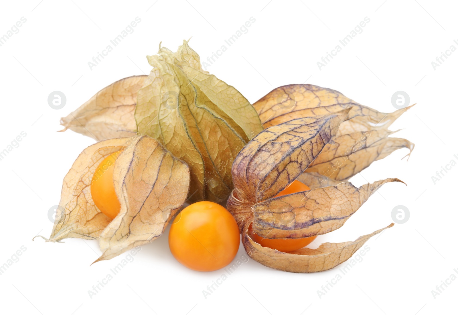 Photo of Many ripe physalis fruits with calyxes isolated on white