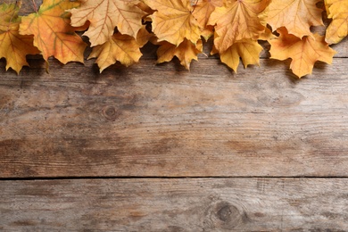 Composition with autumn leaves and space for text on wooden background, top view