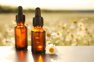Bottles of chamomile essential oil on table in field. Space for text