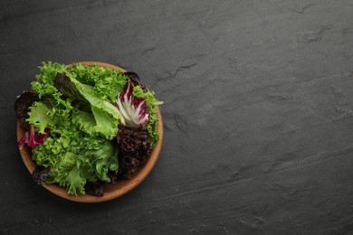 Different sorts of lettuce on black slate table, top view. Space for text