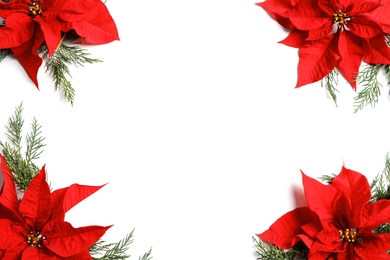 Photo of Flat lay composition with poinsettia and space for text on white background. Traditional Christmas flower