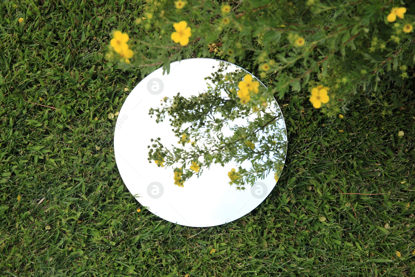 Photo of Round mirror on green grass reflecting sky and beautiful flowers, top view