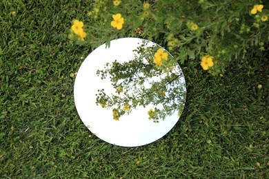 Round mirror on green grass reflecting sky and beautiful flowers, top view