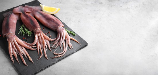 Image of Fresh squids, slice of lemon, rosemary and peppercorn mix on light table, space for text. Banner design