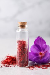 Dried saffron and crocus flower on light table