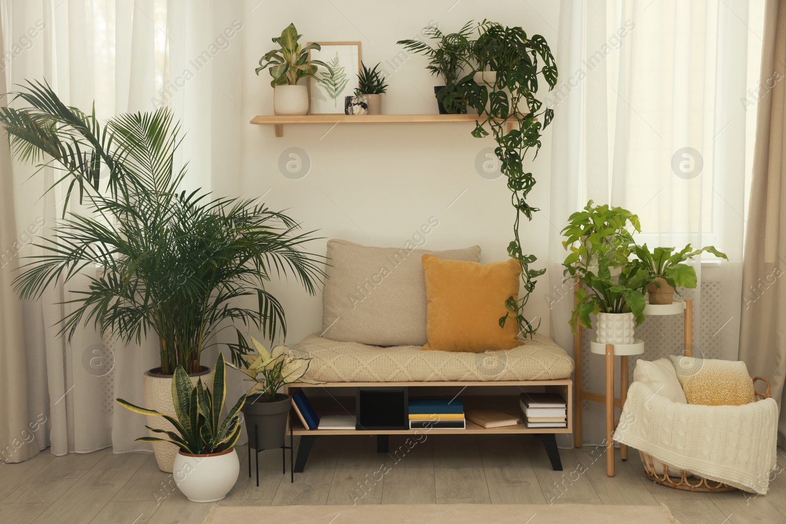 Photo of Stylish room interior with beautiful houseplants and comfortable bench