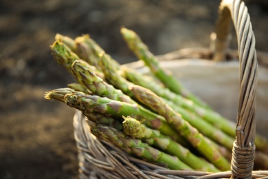 Photo of Wicker basket with fresh asparagus outdoors, closeup