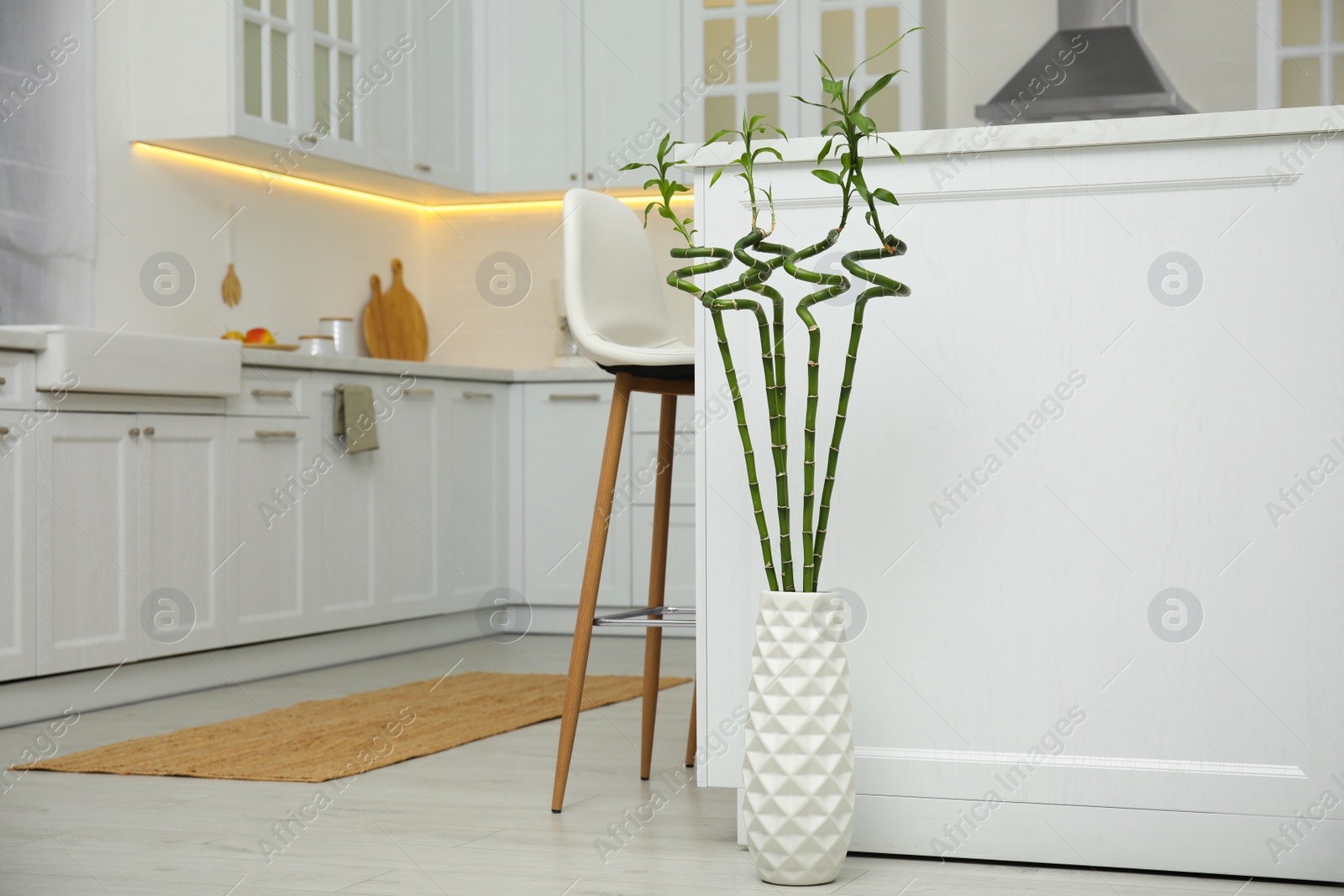 Photo of Vase with green bamboo stems on floor in kitchen, space for text. Interior design