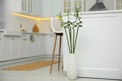 Photo of Vase with green bamboo stems on floor in kitchen, space for text. Interior design