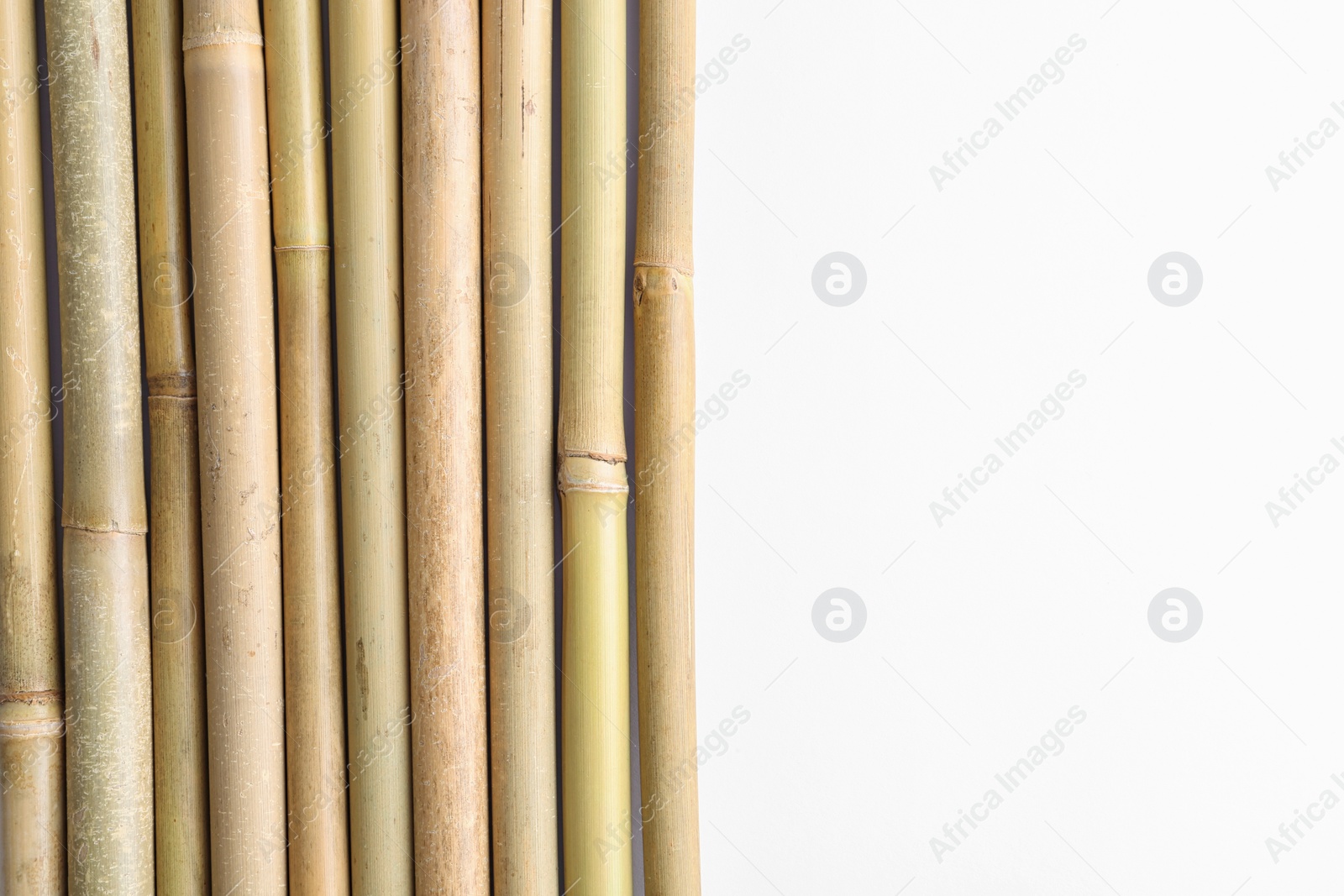 Photo of Dry bamboo sticks on white background, top view