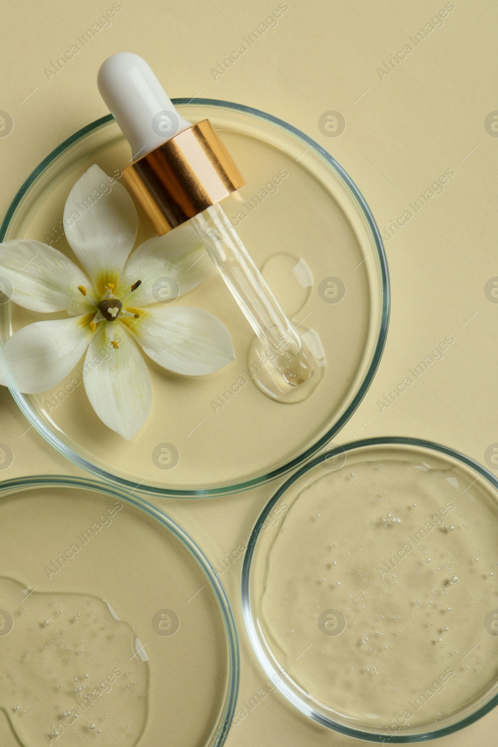 Photo of Petri dishes with samples of cosmetic oil, pipette and beautiful flower on beige background, flat lay