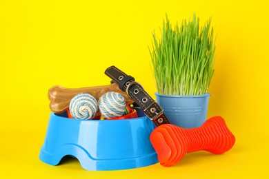 Various pet toys, bowl and wheatgrass on yellow background