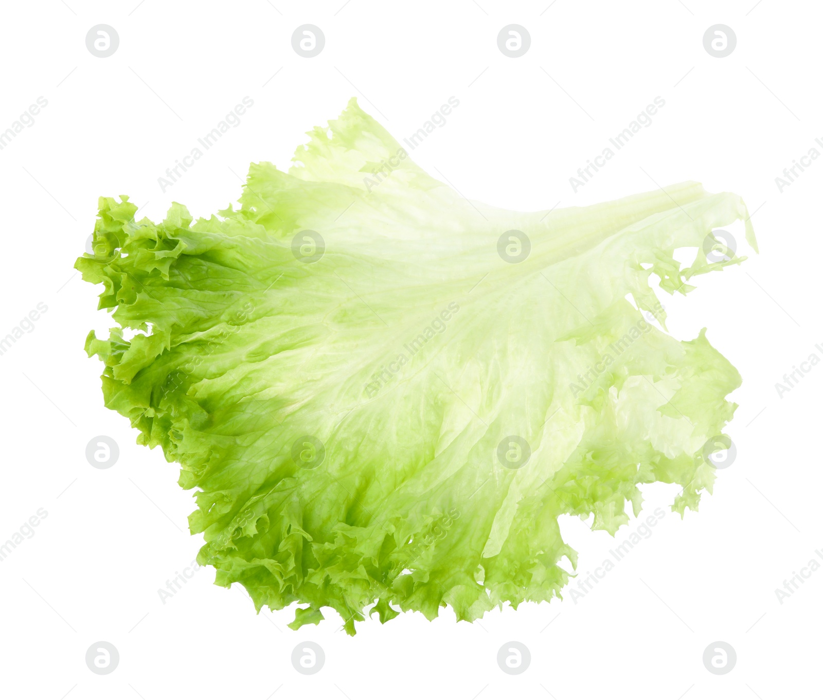 Photo of Fresh green lettuce leaf isolated on white