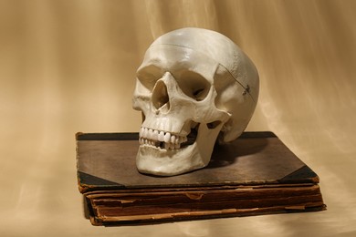 Photo of Human skull and old book on beige background