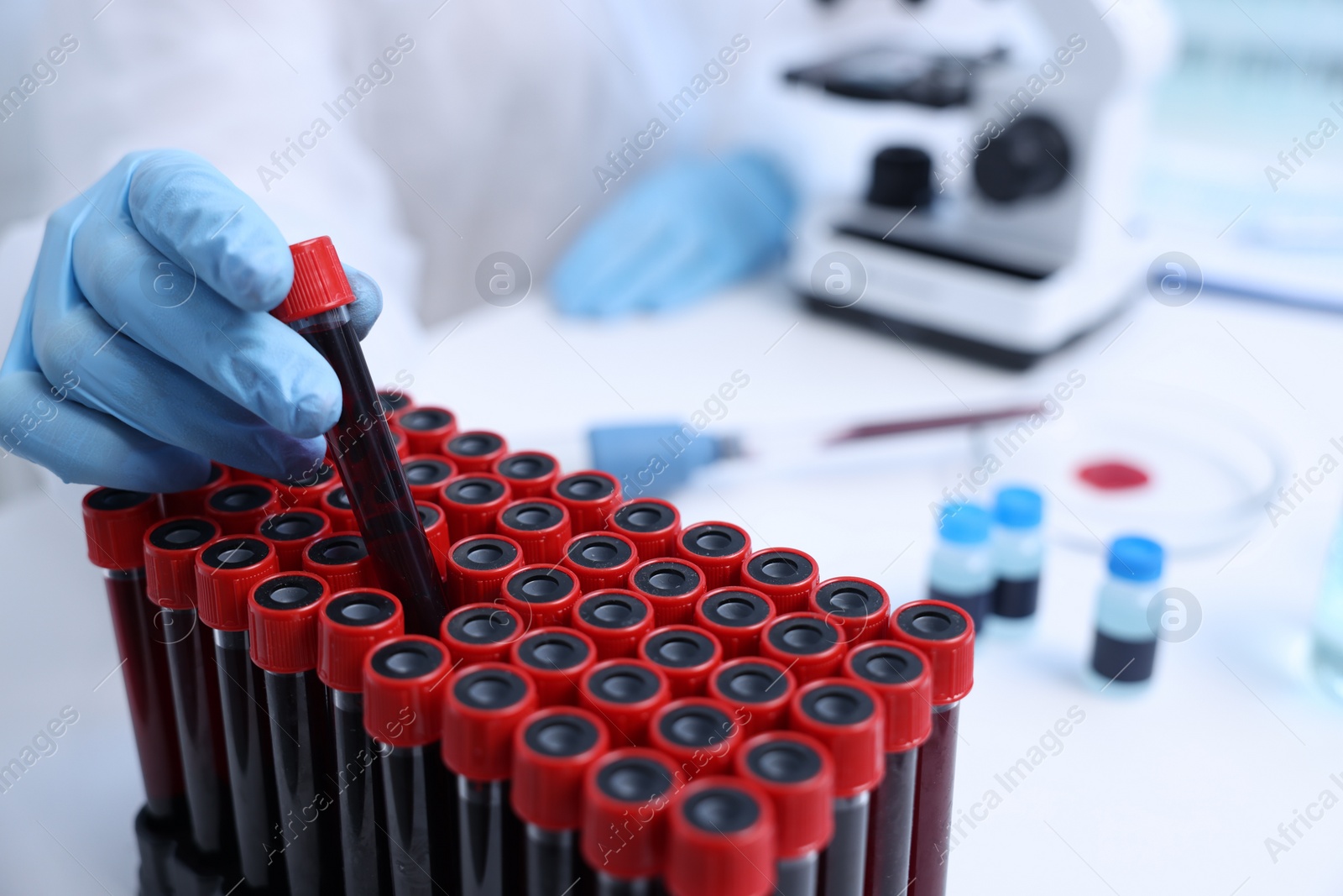 Photo of Scientist working with samples in test tubes in laboratory, closeup