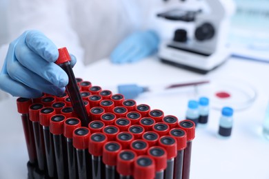 Photo of Scientist working with samples in test tubes in laboratory, closeup